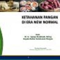 presentasibadanketahananpangan dr
