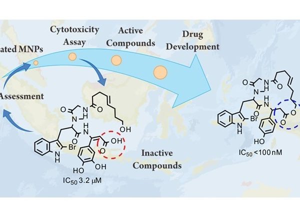 Masteria, Peneliti Pusat Riset Bioteknologi  BRIN  Teliti Senyawa Anti Kanker