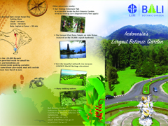 desainbrosuranggrek2