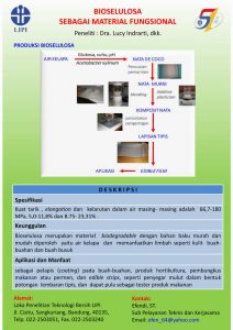 01 Flyer Bioselulosa 2018_2