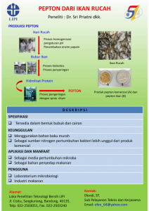 03 Flyer Pepton-1 2018_2