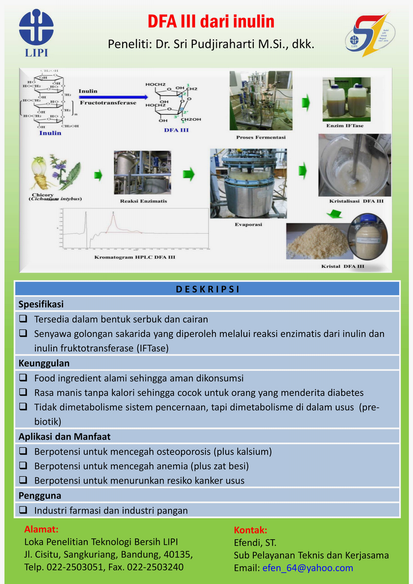 13 Flyer DFA III dari Inulin 2018_01