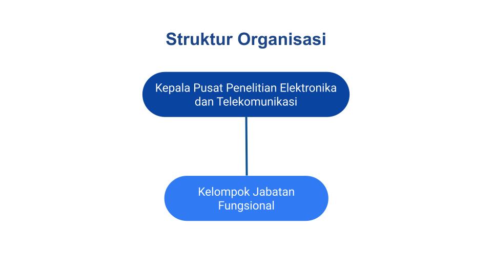 struktur organisasi 