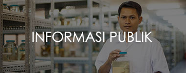Informasi Publik