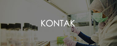 Kontak