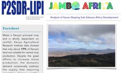 Infrastructure Boom and Food Price Bust in Kenya