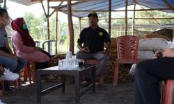 Jahe Gajah: Komoditas Rempah Khas Bangka Belitung yang Mendunia 