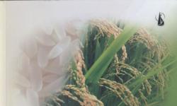 New Book : Competitiveness of Rice Production in Thailand