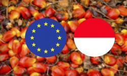 Menempatkan Implikasi Hambatan Perdagangan Non-Tarif dari Uni Eropa Bagi Komoditas Primer Indonesia