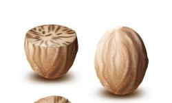 Pala: Komoditi, Internasionalisasi dan Brokerage  