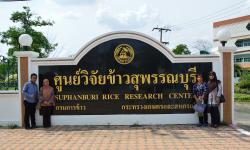 Sistem Pertanian Berkelanjutan: Pembelajaran dari Thailand