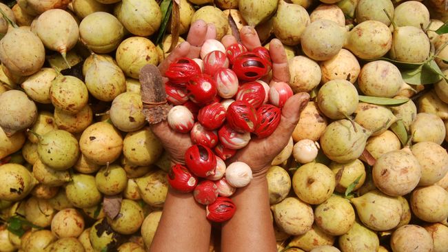 369234c0 ae46 45c4 942d 9ef579593a7f 169