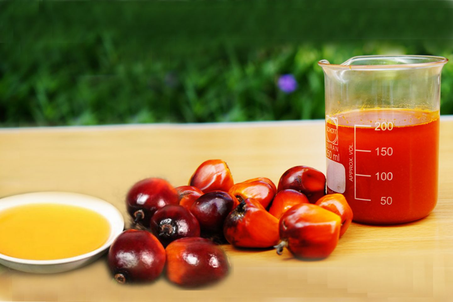 87916602706 cpo sawit 1e 1440x960