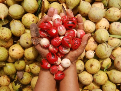 369234c0 ae46 45c4 942d 9ef579593a7f 169