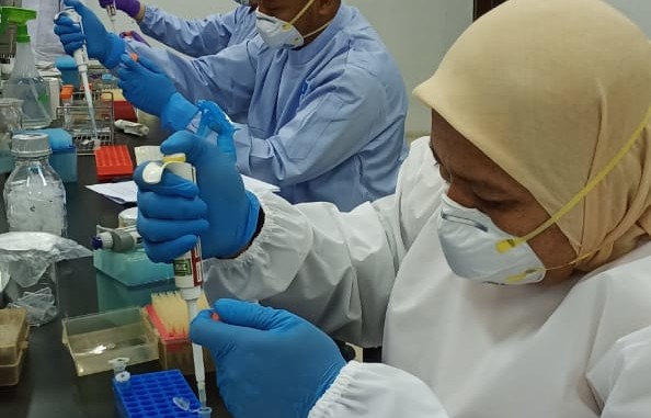 WhatsApp Image 2020-11-10 at 16.43.38