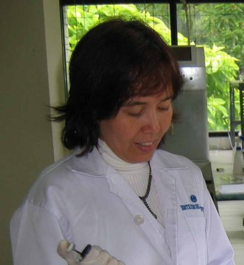 Inez Hortense Slamet