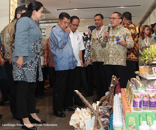 Wakil Presiden Bahas Stunting di WNPG XI